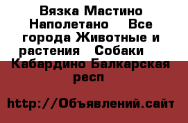 Вязка Мастино Наполетано  - Все города Животные и растения » Собаки   . Кабардино-Балкарская респ.